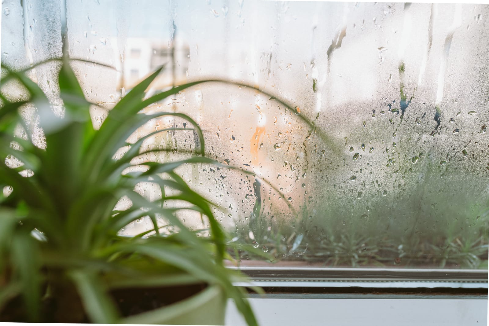 หน้าฝนบ้านอับชื้นทำไง? 6 วิธีแก้บ้านชื้น กลิ่นอับ เชื้อรา 2026